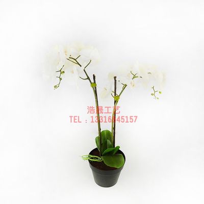 東莞廠(chǎng)家直銷(xiāo)，優(yōu)質(zhì)仿真盆栽裝飾，定制您的理想塑料植物盆景