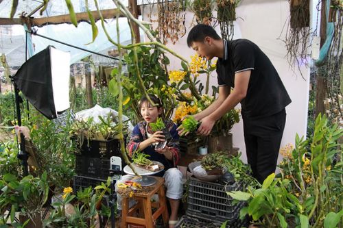 90后小伙解鎖電商密碼，云南龍陵花卉年銷(xiāo)突破千萬(wàn)元