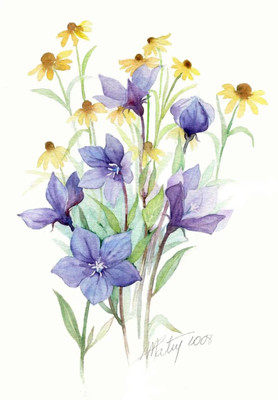 色彩水彩與網(wǎng)絡(luò)技術(shù) 清新雅致的手繪插畫(huà)在數(shù)字時(shí)代的研究與應(yīng)用