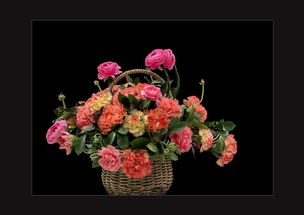 中山公園迎春花卉網(wǎng)絡(luò)技術(shù)的研究與應(yīng)用